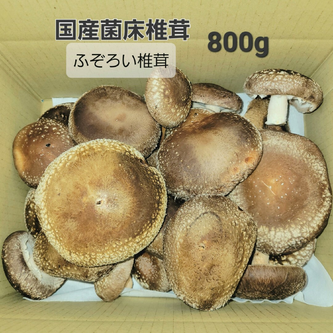 【国産菌床しいたけ】不揃い800g 食品/飲料/酒の食品(野菜)の商品写真