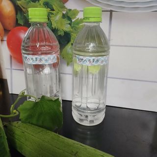 京都産　天然へちま水　1000ml(その他)