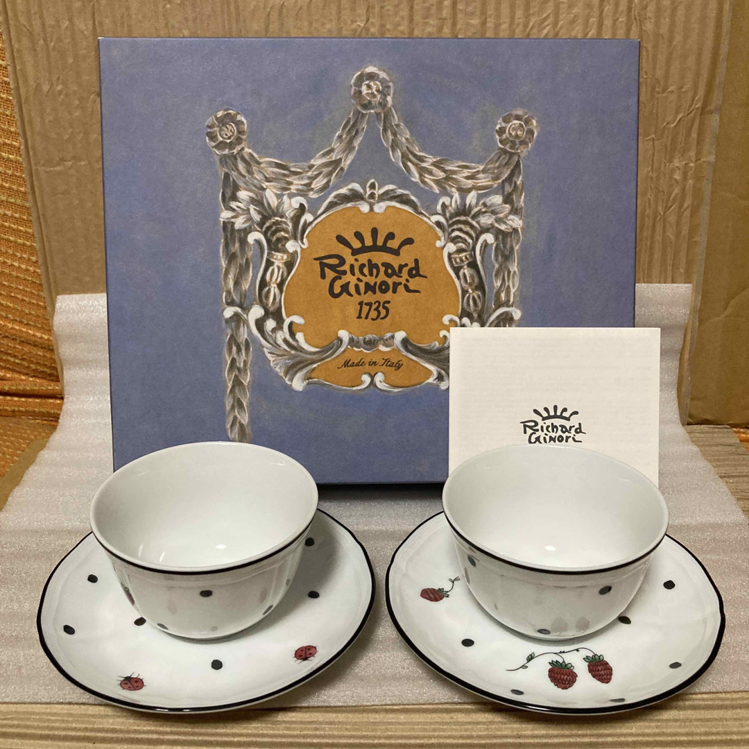 Richard Ginori - リチャードジノリ カップ&ソーサー 2客 新品