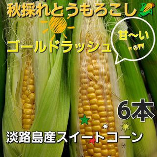 淡路島産秋採れとうもろこし🌽ゴールドラッシュ6本(野菜)