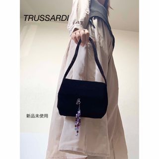 トラサルディ(Trussardi)の⭐︎新品未使用⭐︎TRUSSARDI ベロア　ハンドバッグ(ハンドバッグ)