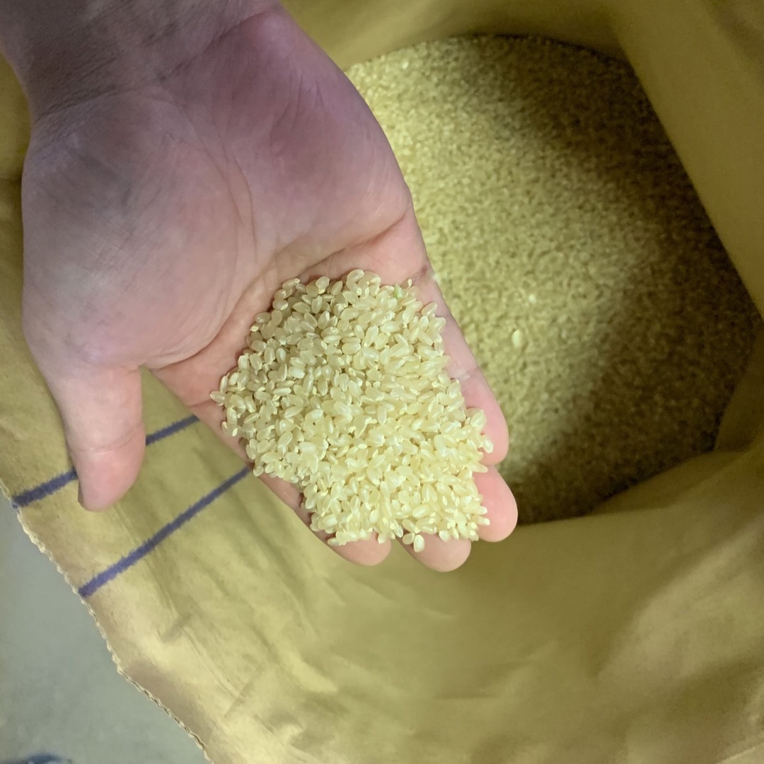 山形県産つや姫 玄米30キロ 農家直送 新米 おいしいお米 山形県産つや姫 玄米30キロ 農家直送 新米 おいしいお米