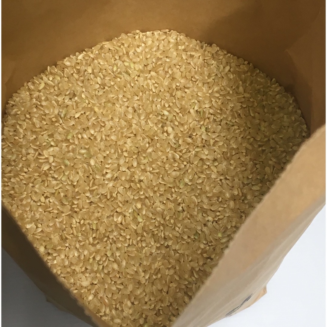 自然栽培 朝日米 20kg 玄米 R5年 在来種 無農薬 無農薬玄米 - 米