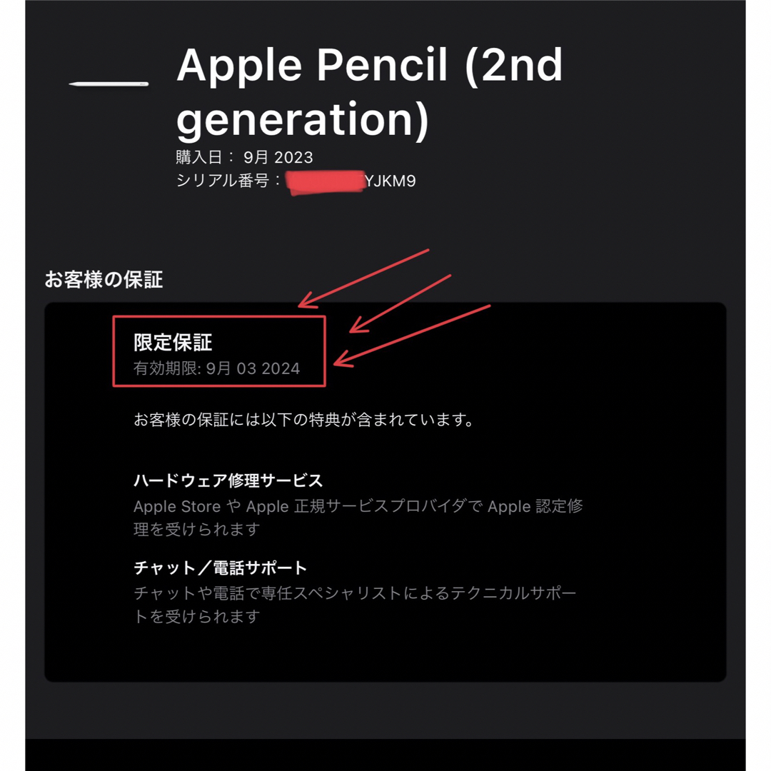 Apple Pencil アップルペンシル 第2世代 新品未開封