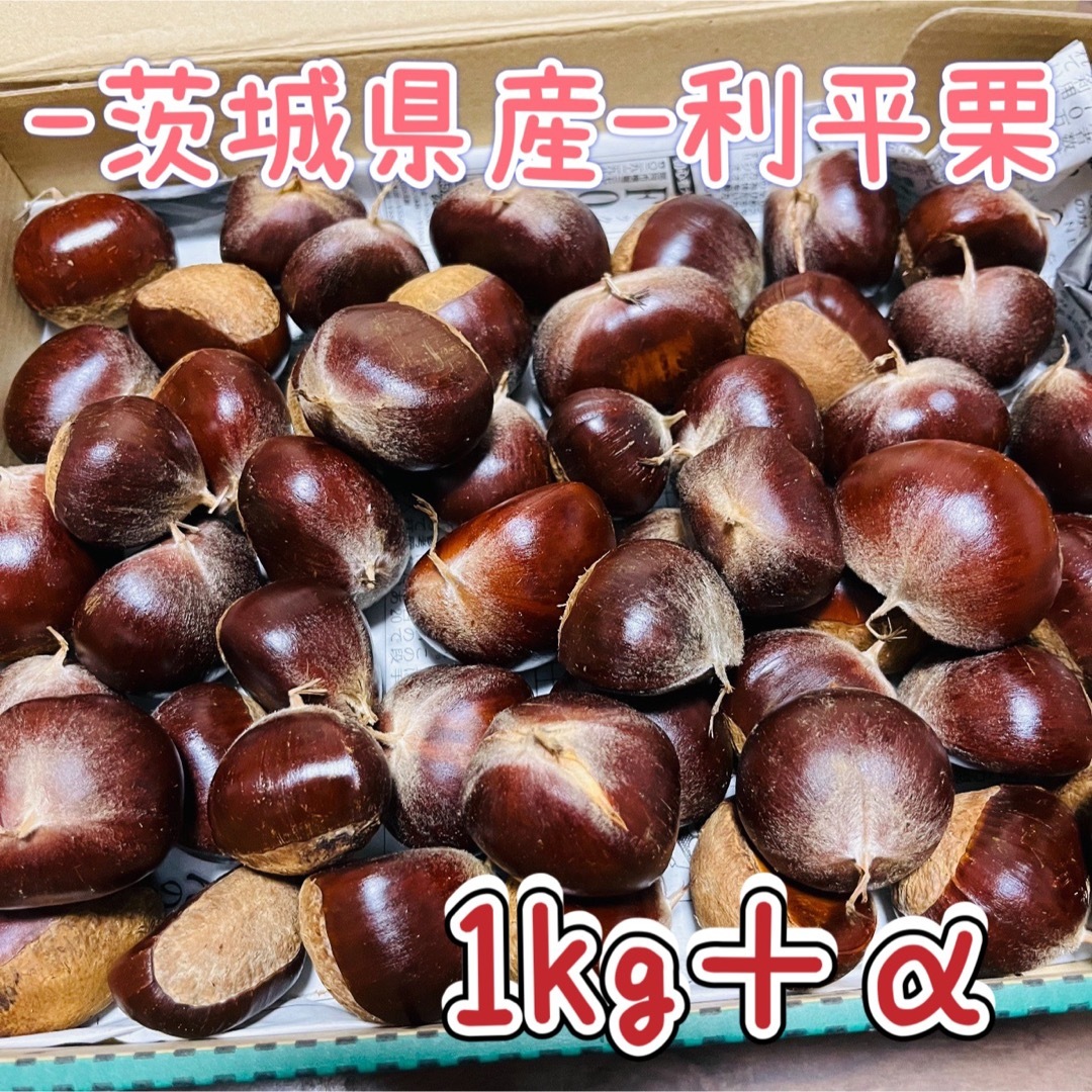 【利平】栗⭐︎1kg＋α！！絶品の栗の王様！とりたて直送 食品/飲料/酒の食品(野菜)の商品写真