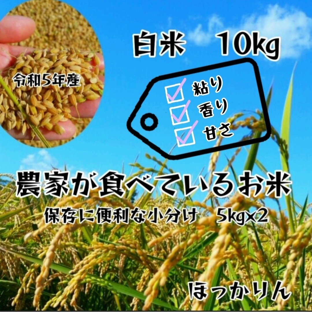 青森ブランド米＂まっしぐら＂白米20kg 新鮮精米 農家直送 - 米