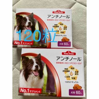 アンチノール120粒　犬用