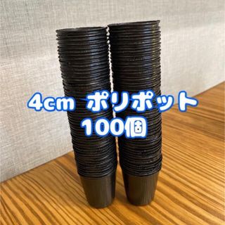 ＊4cm ポリポット＊100個(プランター)