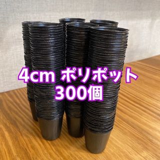 ＊4cm ポリポット＊300個(プランター)