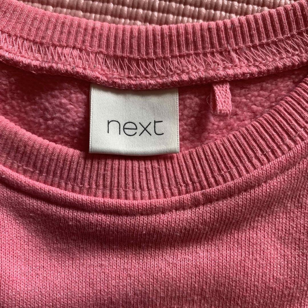 NEXT(ネクスト)のnext  レイヤード　カットソー　裏起毛　サイズ100 キッズ/ベビー/マタニティのキッズ服女の子用(90cm~)(Tシャツ/カットソー)の商品写真