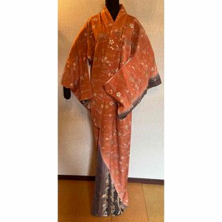 着物(レディース)(ボーダー)の通販 74点(レディース) | お得な新品