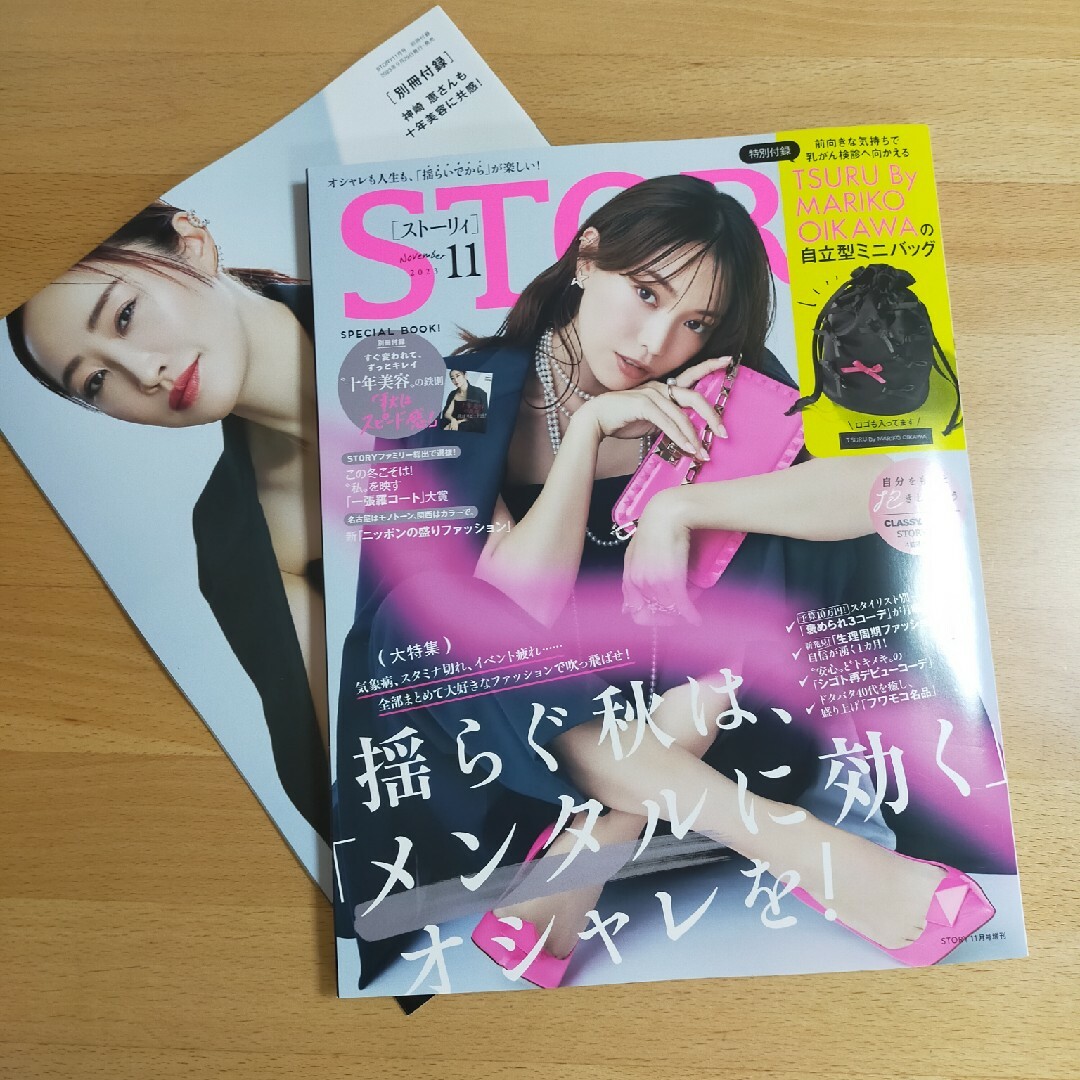 STORY(ストーリィ)増刊 2023年 11月号 エンタメ/ホビーの雑誌(その他)の商品写真