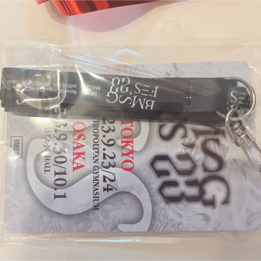 BMSG フェス SS席特典 ネックホルダー 銀テープ - アイドル