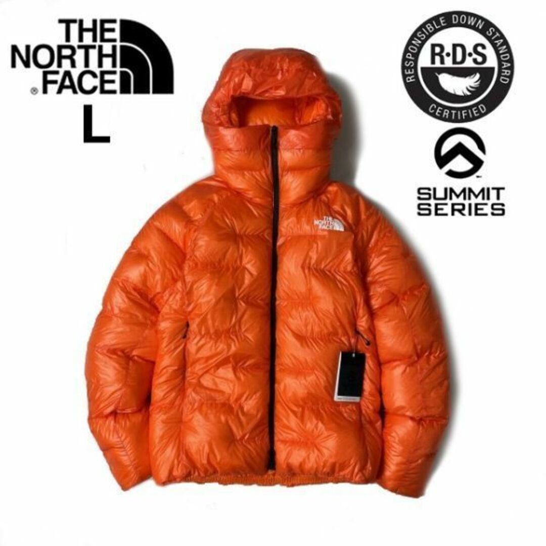 THE NORTH FACE - ノースフェイス ダウンジャケット US限定 最高峰(L