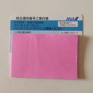 エーエヌエー(ゼンニッポンクウユ)(ANA(全日本空輸))の【1枚】ANA　株主優待券(その他)