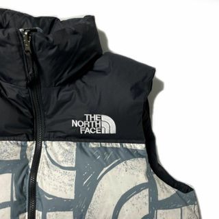 THE NORTH FACE - ノースフェイス ダウンベスト US限定 RDS(M)青 総柄