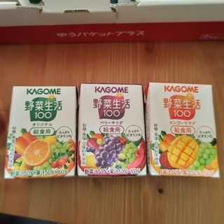 カゴメ(KAGOME)の野菜生活100ml 15本(その他)