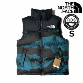 ザノースフェイス(THE NORTH FACE)のノースフェイス ダウンベスト US限定 RDS(S)青 総柄 190122(ダウンベスト)