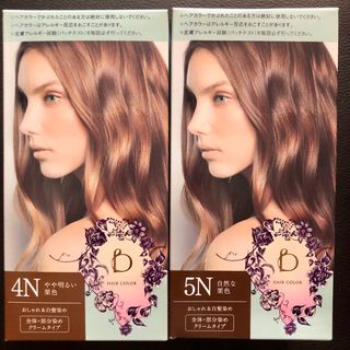 シセイドウ(SHISEIDO (資生堂))の資生堂 ベネフィーク ヘアカラー 5N 自然な栗色　4N やや明るい栗色(カラーリング剤)