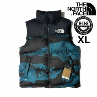 ノースフェイス(THE NORTH FACE) ダウンベスト(メンズ)（ブルー 