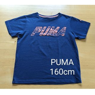 PUMA 紺色ロゴT 160cm(ウォーキング)