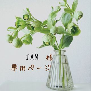 JAM様専用★訳あり★ドライフラワー 花材【スターチス・くすみ】(ドライフラワー)