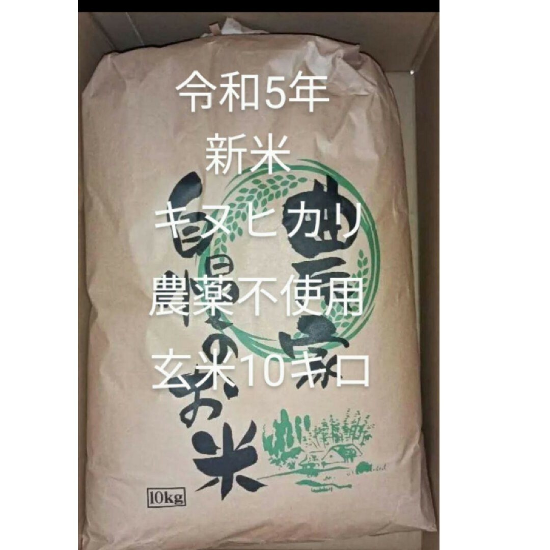 令和5年　新米　キヌヒカリ　農薬不使用　玄米10キロ