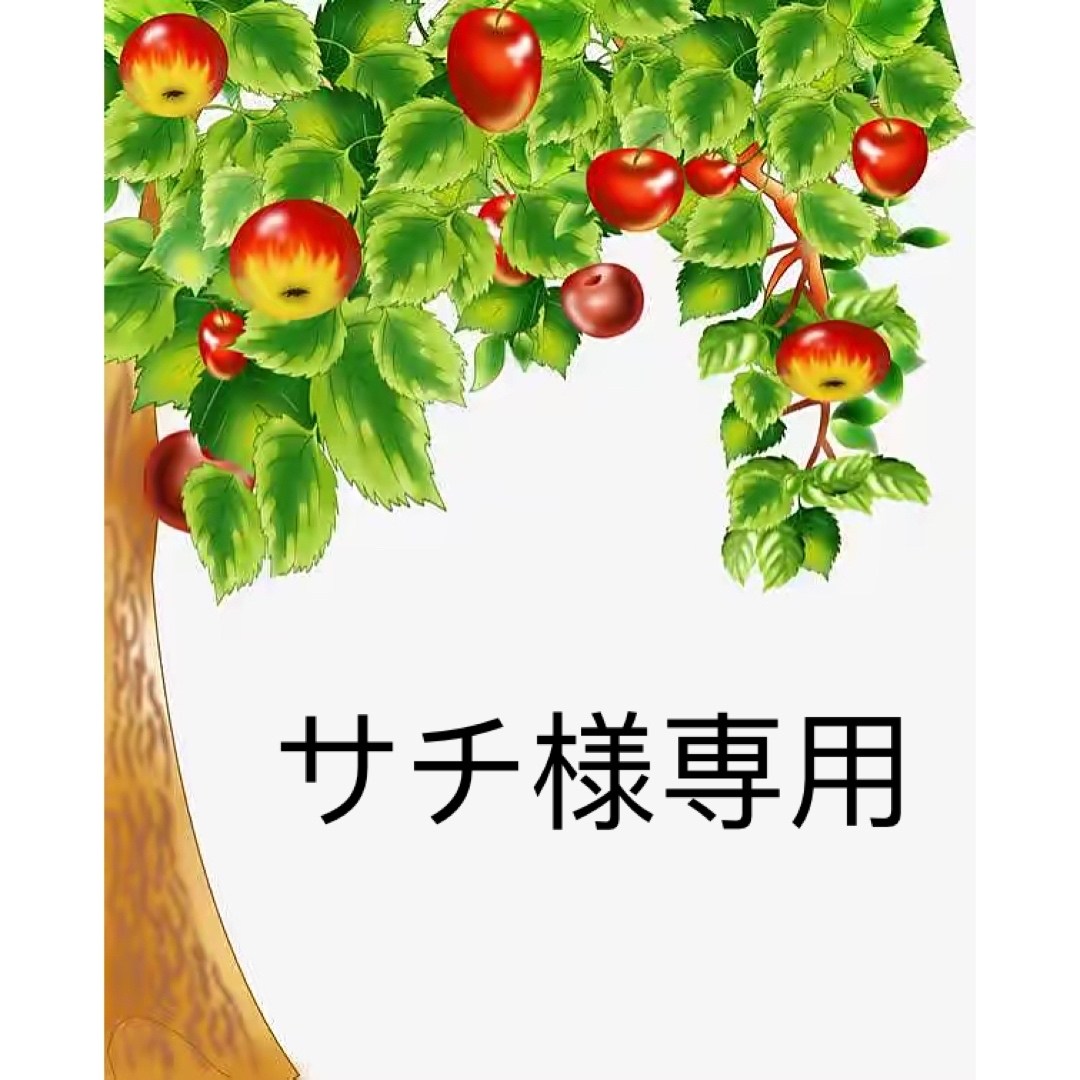 サチ　ORT Stage1-5 & マイヤペン緑