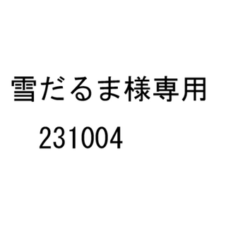 雪だるま様専用　231004(その他)
