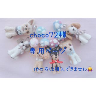 choco72様　よろしくお願いします🩵(ぬいぐるみ)