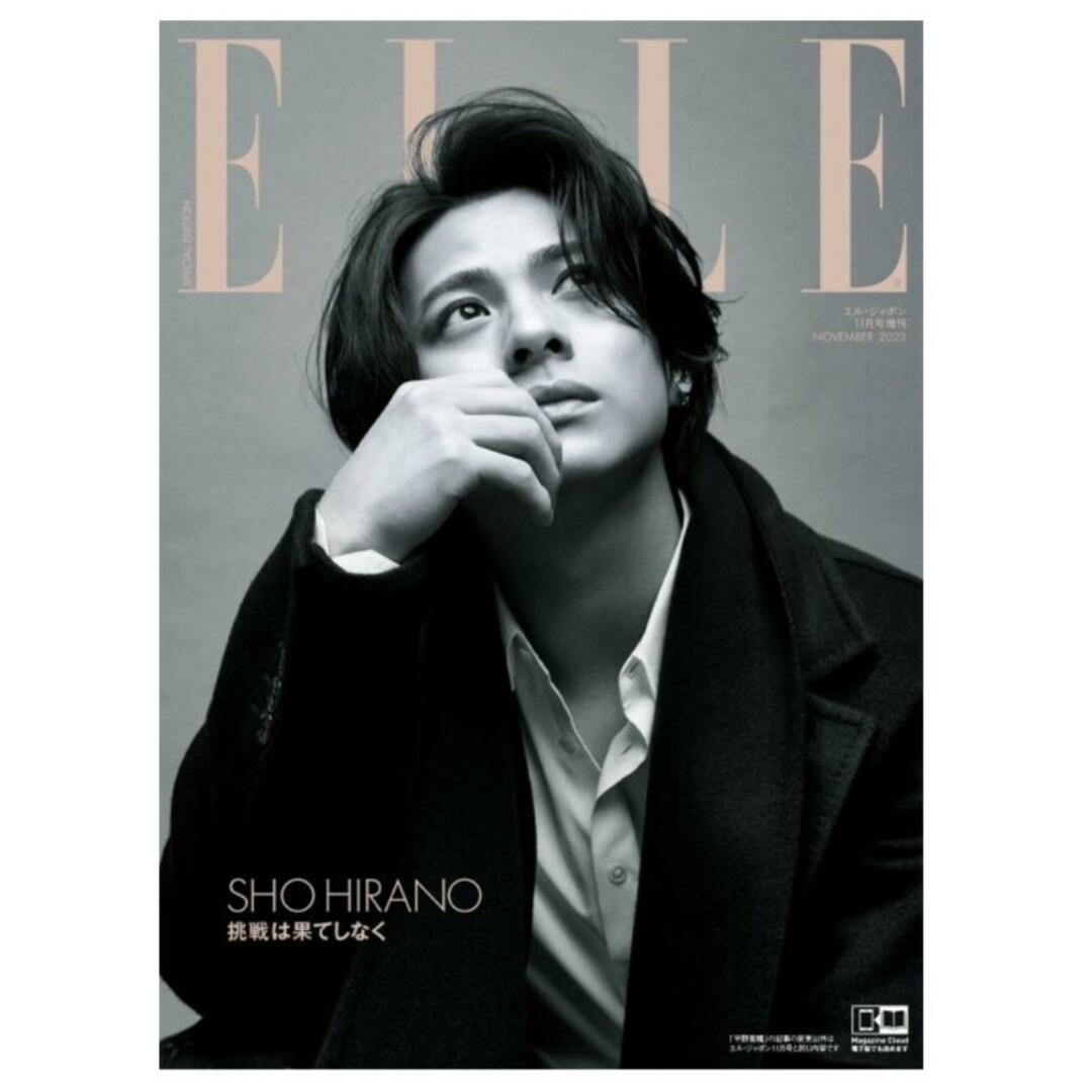 ELLE(エル)の増刊 ELLE JAPON/エル・ジャポン 特別版 2023年 11月号 エンタメ/ホビーの雑誌(生活/健康)の商品写真