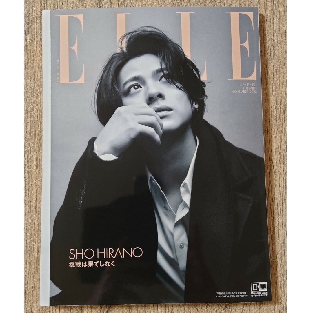 ELLE(エル)の増刊 ELLE JAPON/エル・ジャポン 特別版 2023年 11月号 エンタメ/ホビーの雑誌(生活/健康)の商品写真