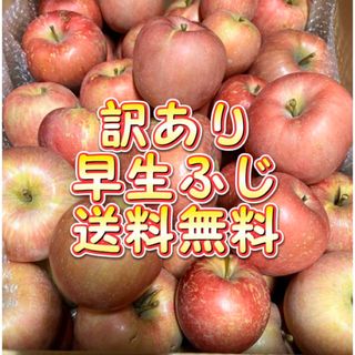 【産地直送】青森県産りんご 早生ふじ  10kg(フルーツ)