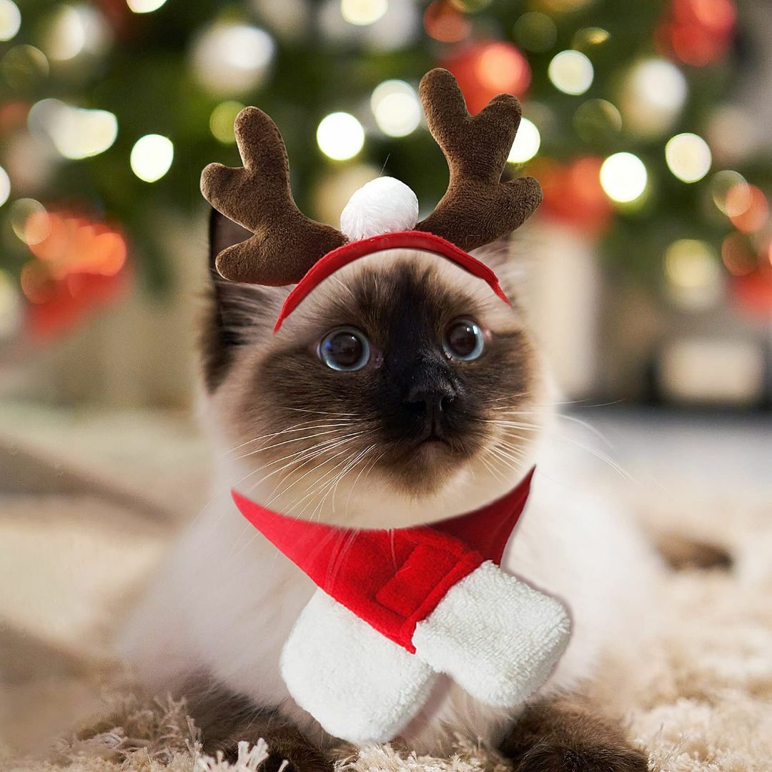 PETLESOペット用クリスマス飾り帽子 猫 犬クリスマス シカデザインマフラー