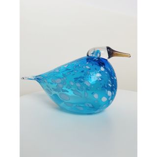 Blue Finch ブルーフィンチ　新品　箱付き　北米限定　イッタラバード