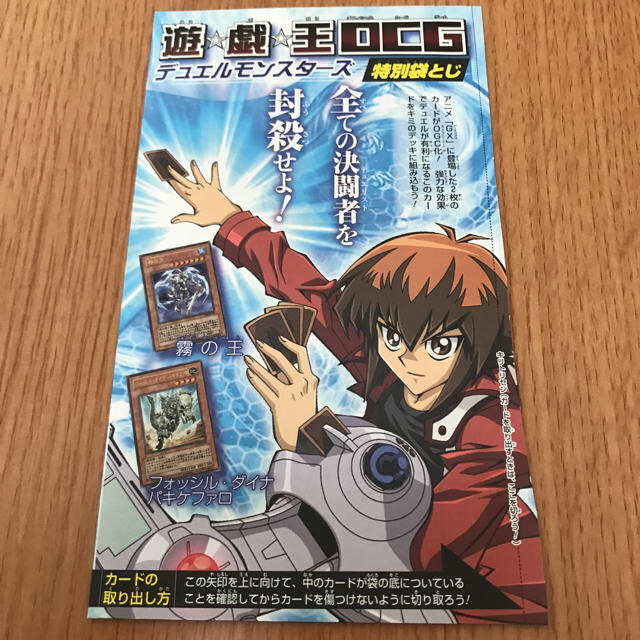 遊戯王 - 遊戯王 ザ、ヴァリュアブル・ブック10 カード2枚付録の 遊戯王 - 遊戯王 ザ、ヴァリュアブル・ブック10 カード2枚付録の