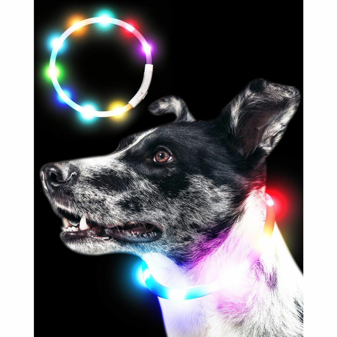 【色: 虹色】Qbit LED 犬光る首輪 【視認距離400mで夜間も安心】 犬