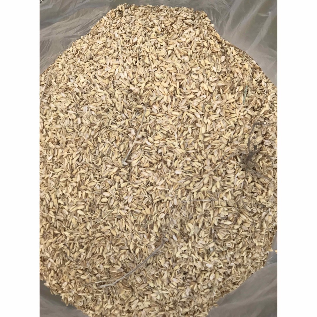 昨年度に採れた国内産米の籾殻 食品/飲料/酒の食品(米/穀物)の商品写真