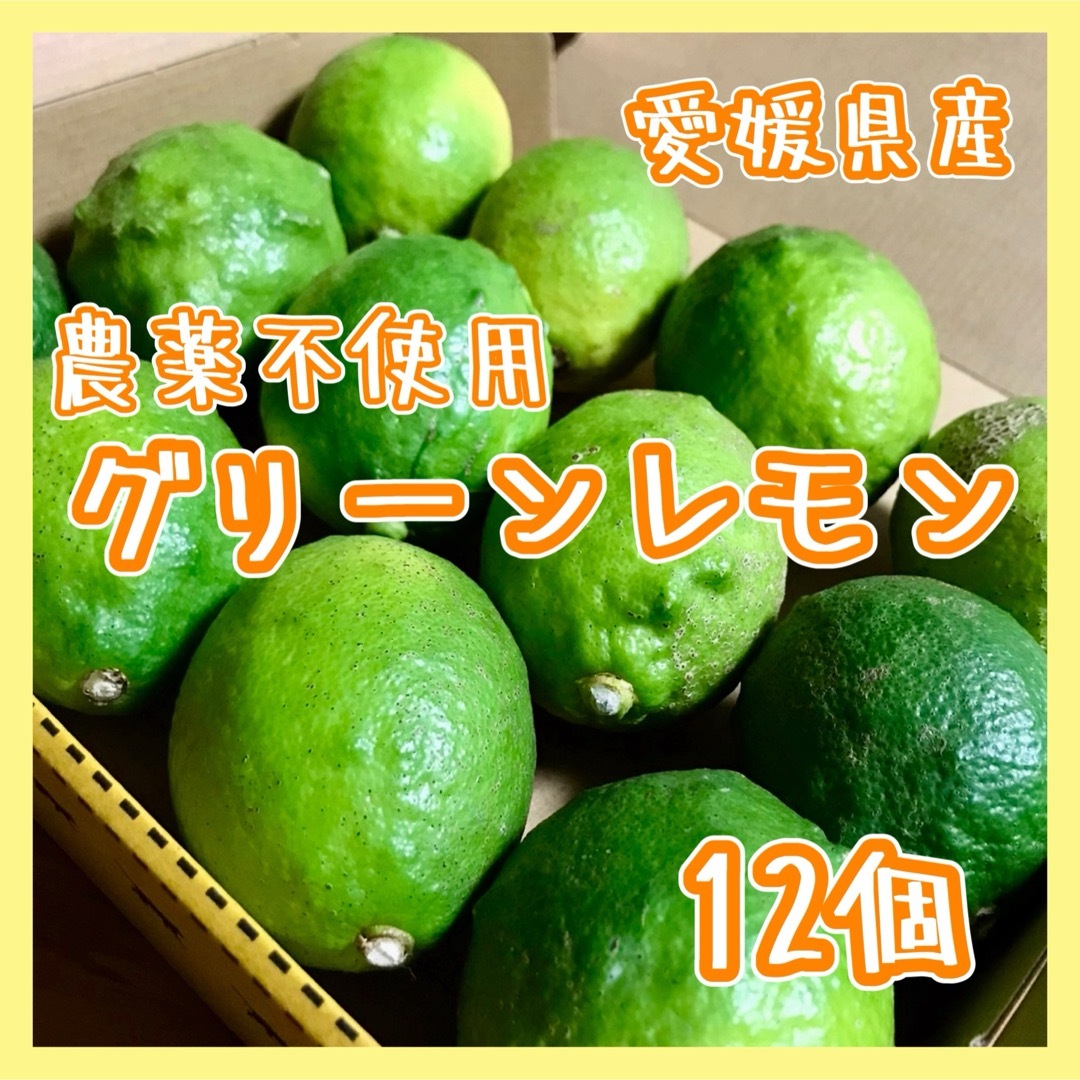 愛媛県産 国産 グリーンレモン 12個 農薬不使用 14