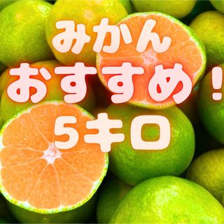 美味しいよ٩( 'ω' )و山北みかん　09(フルーツ)