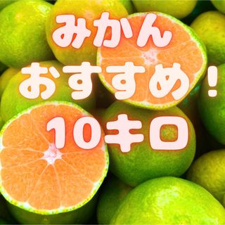 美味しいよ٩( 'ω' )و山北みかん　10k　09(フルーツ)