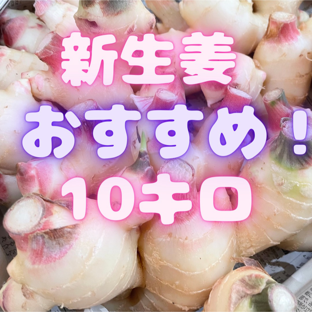 めっちゃ安い！！　新生姜　高知県　10キロ　箱込　10 食品/飲料/酒の食品(野菜)の商品写真