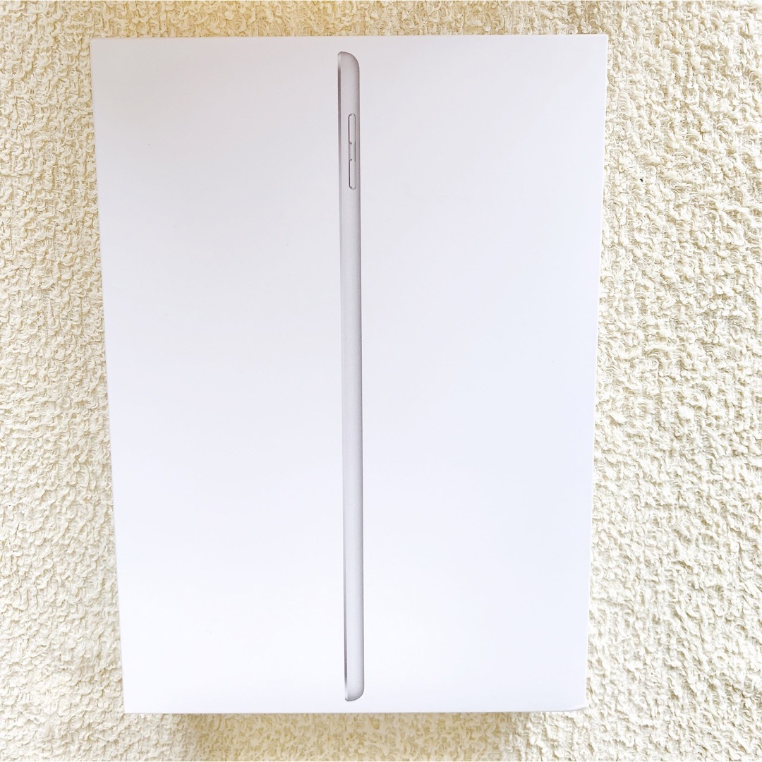 【美品】iPad Wi-Fi＋セルラーモデル シルバーアップル