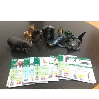 タカラトミー(Takara Tomy)のアニア アニマルアドベンチャー 動物(キャラクターグッズ)