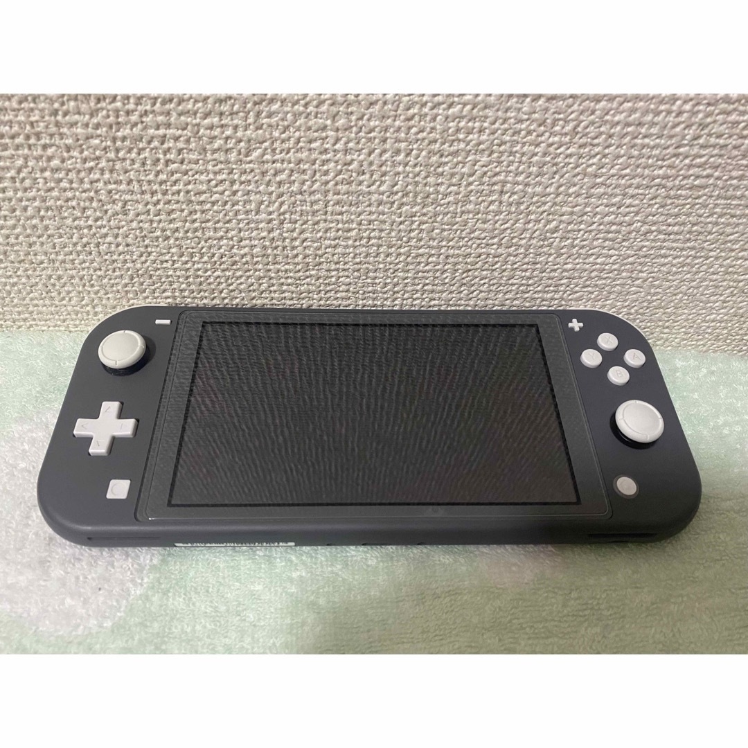 【送料込み】Nintendo Switch Lite本体microSDとケース付