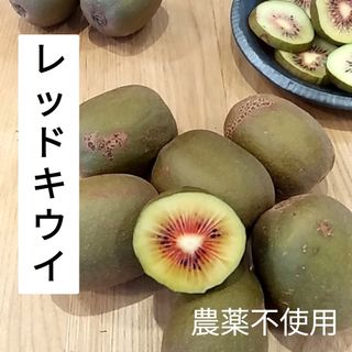 レッドキウイ　約1kg　農薬不使用(フルーツ)