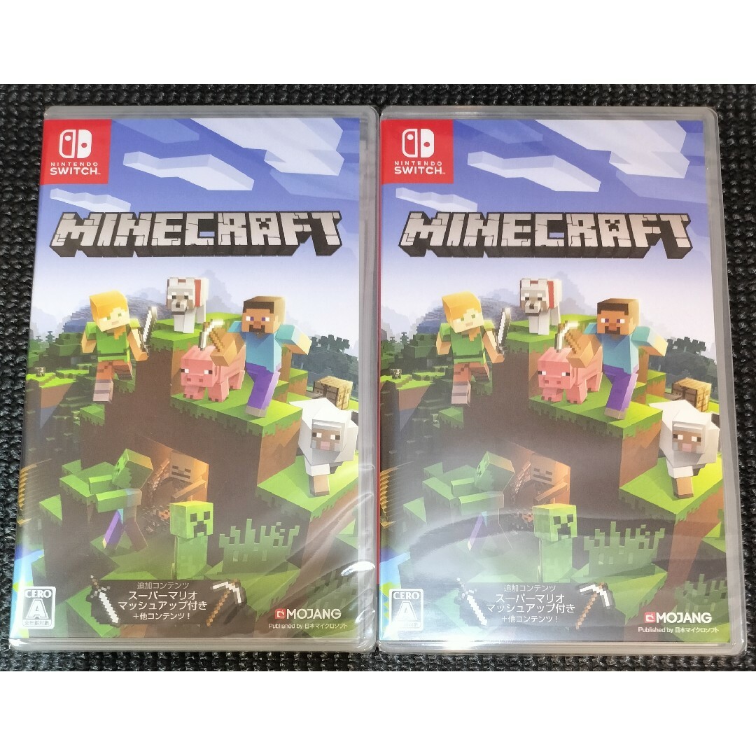 Minecraft Switch 2点セット