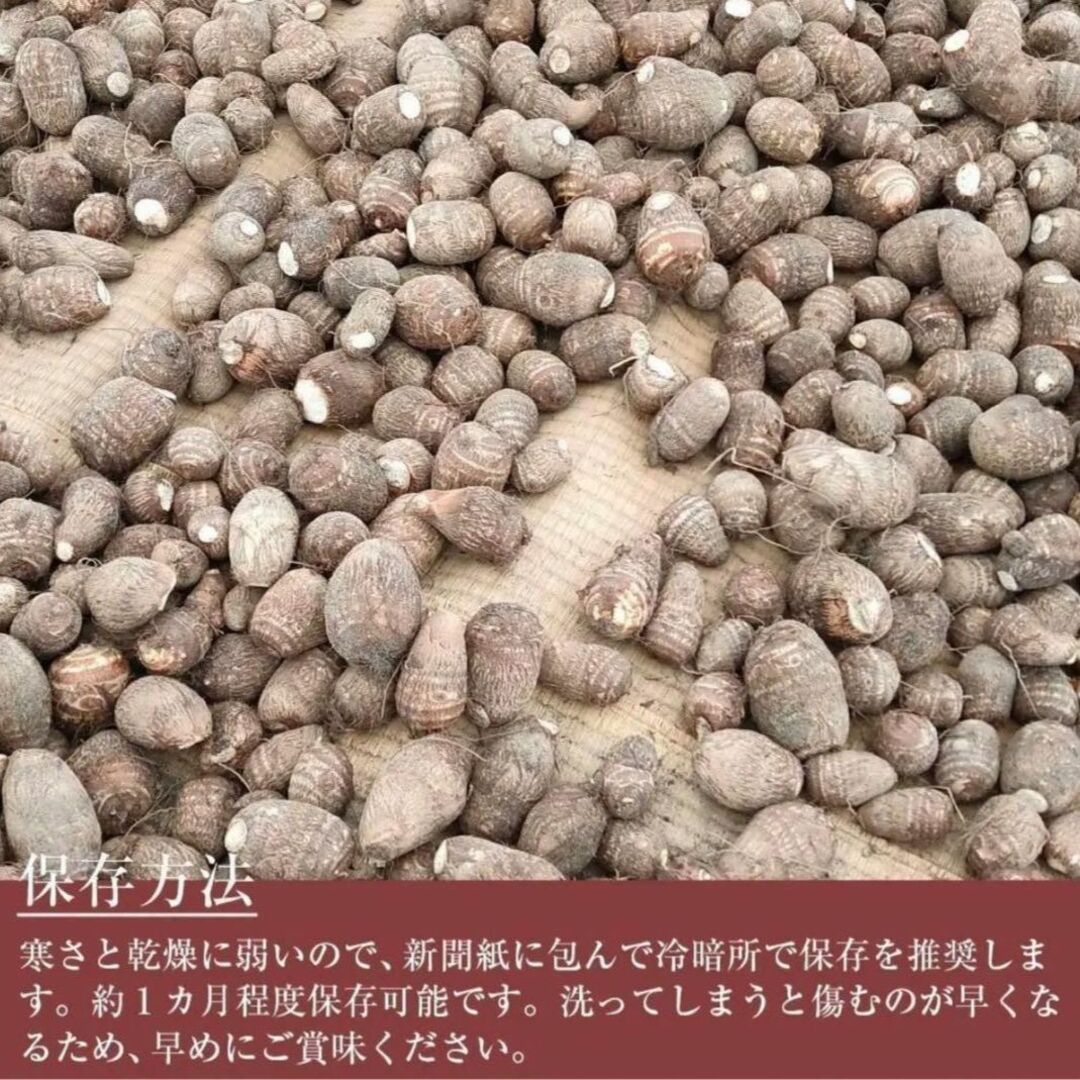 【鳥取県産】黄金里芋 大和芋 宅急便 10kg さといも サトイモ 山芋 食品/飲料/酒の食品(野菜)の商品写真