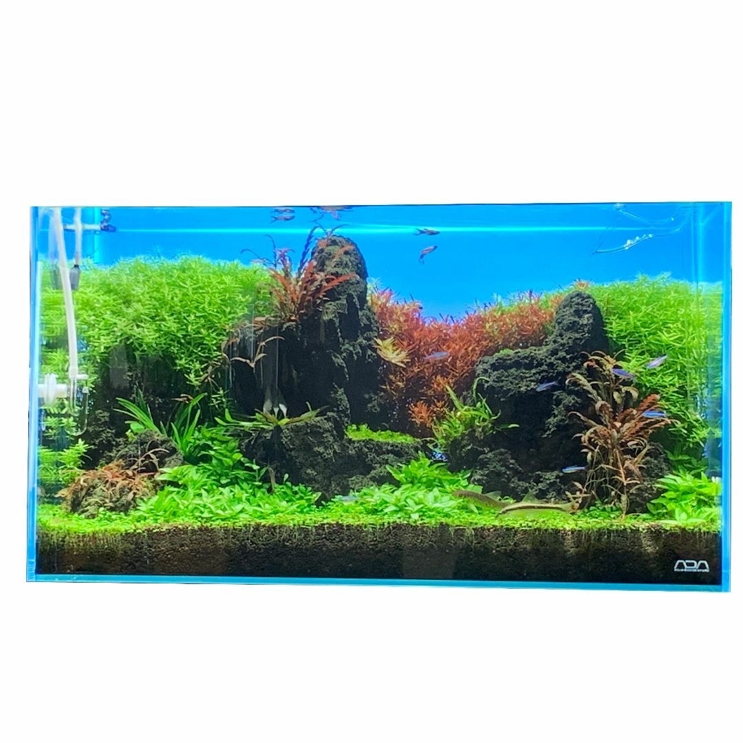 60㎝×36㎝】リモコン付き水槽バックライトの通販 by muranaka0208's 60㎝×36㎝】リモコン付き水槽バックライトの通販 by muranaka0208's