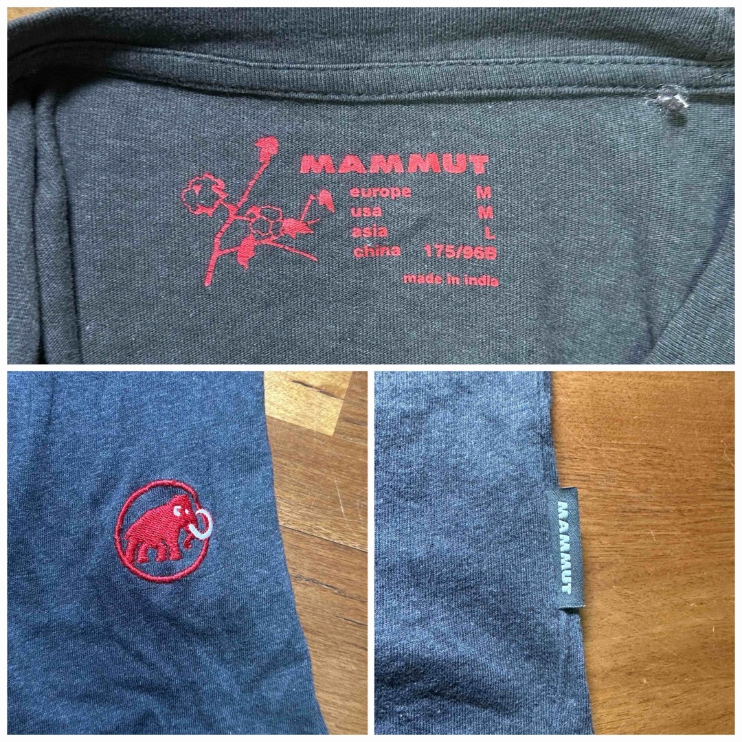 Mammut(マムート)の『マムート ロングＴシャツ』 メンズのトップス(Tシャツ/カットソー(七分/長袖))の商品写真